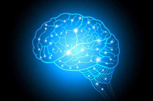 You are currently viewing Super Brain, Super Body