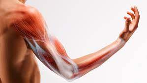 Read more about the article ‘Tricep Trauma’